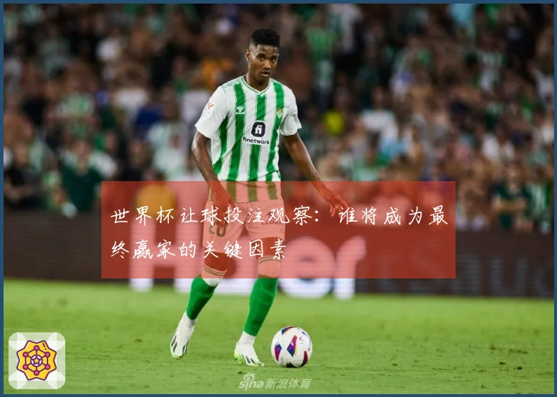 世界杯让球投注观察：谁将成为最终赢家的关键因素
