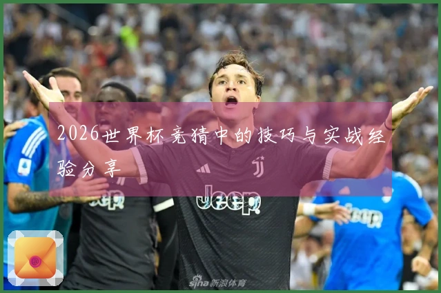 2026世界杯竞猜中的技巧与实战经验分享