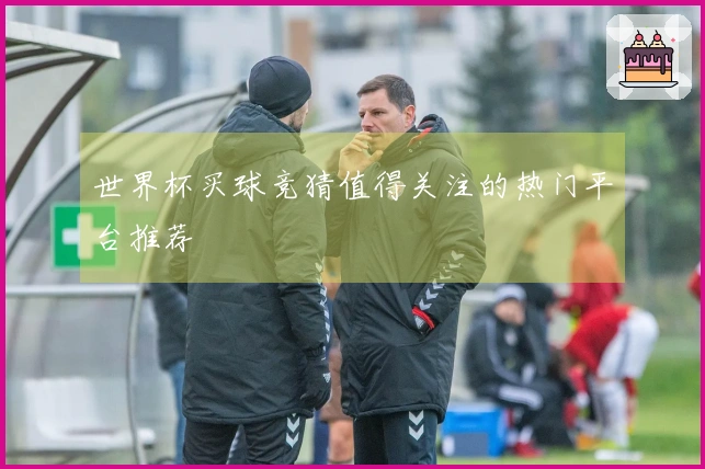 世界杯买球竞猜值得关注的热门平台推荐