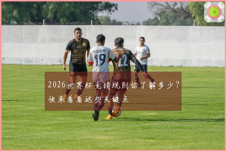 2026世界杯竞猜规则你了解多少？快来看看这些关键点