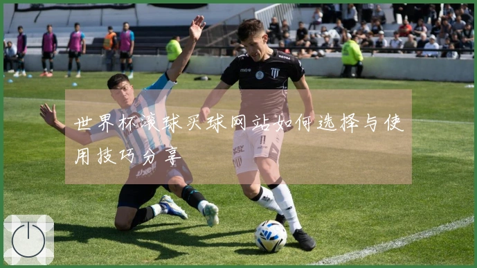 世界杯滚球买球网站如何选择与使用技巧分享