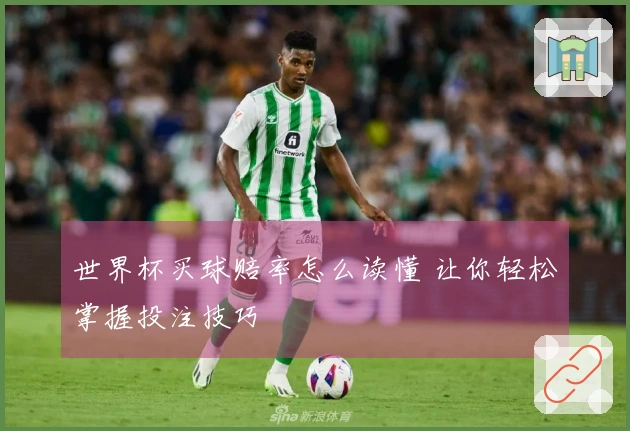 世界杯买球赔率怎么读懂 让你轻松掌握投注技巧