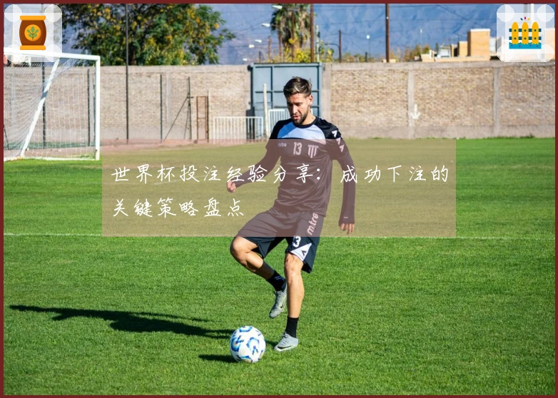 世界杯投注经验分享：成功下注的关键策略盘点