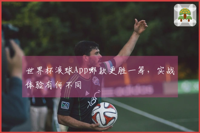世界杯滚球App哪款更胜一筹，实战体验有何不同